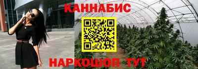 дмт Будённовск